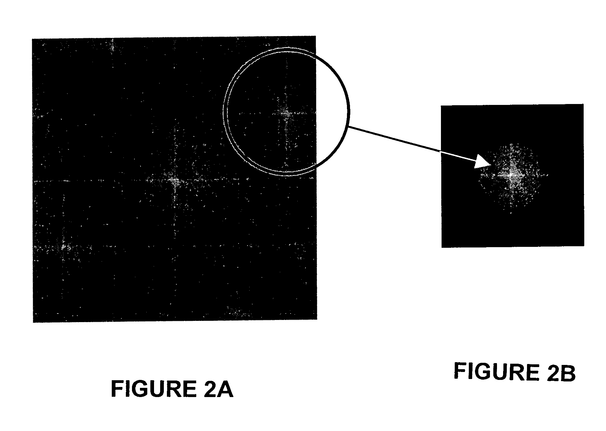 Spatial-heterodyne interferometry for transmission (SHIFT) measurements