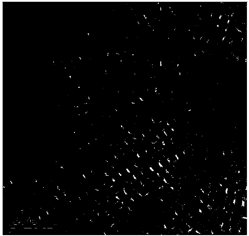 A kind of method utilizing self-assembly to prepare PBS nano sheet