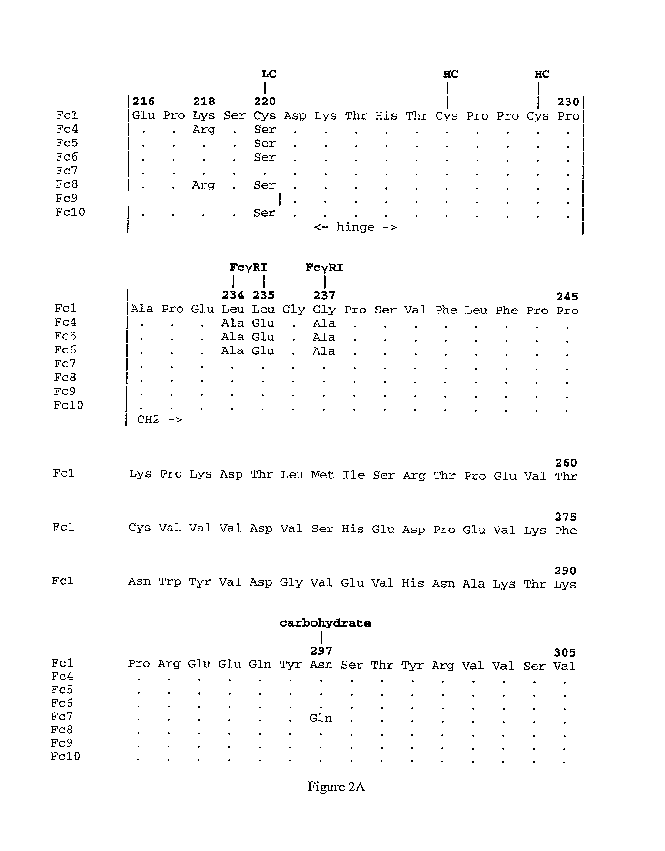 Single chain fc, methods of making and methods of treatment