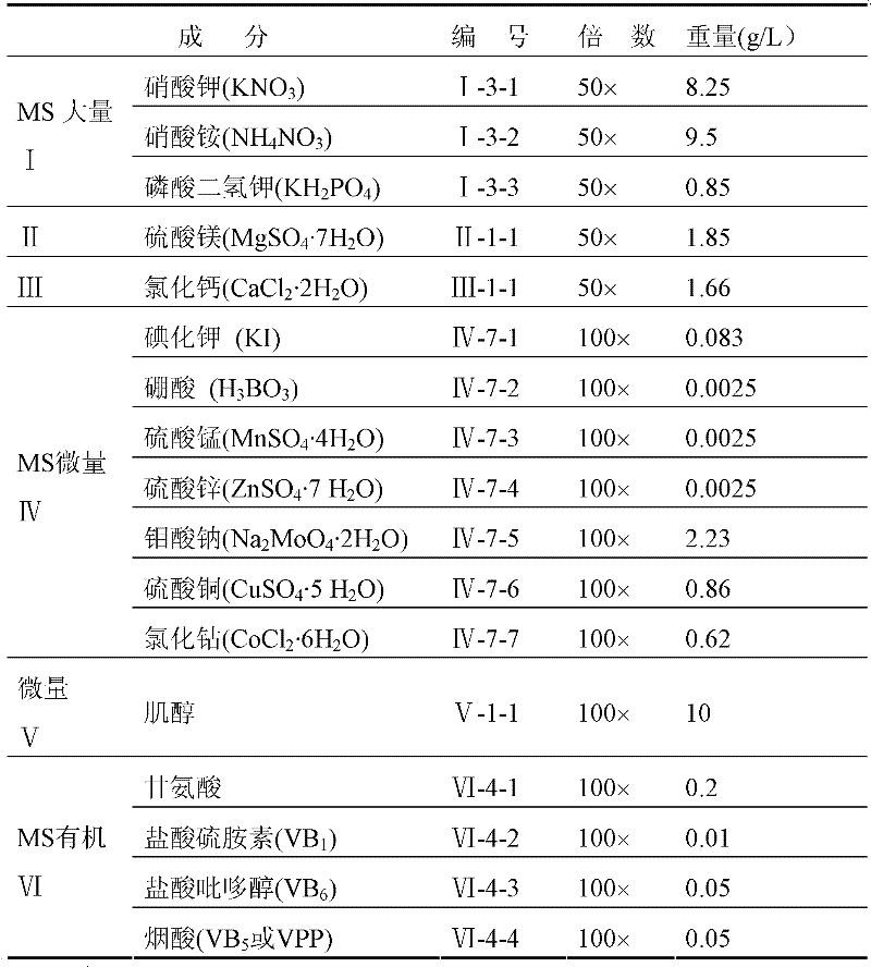 Huperzine A high-producing strain and method for producing huperzine A by fermenting same