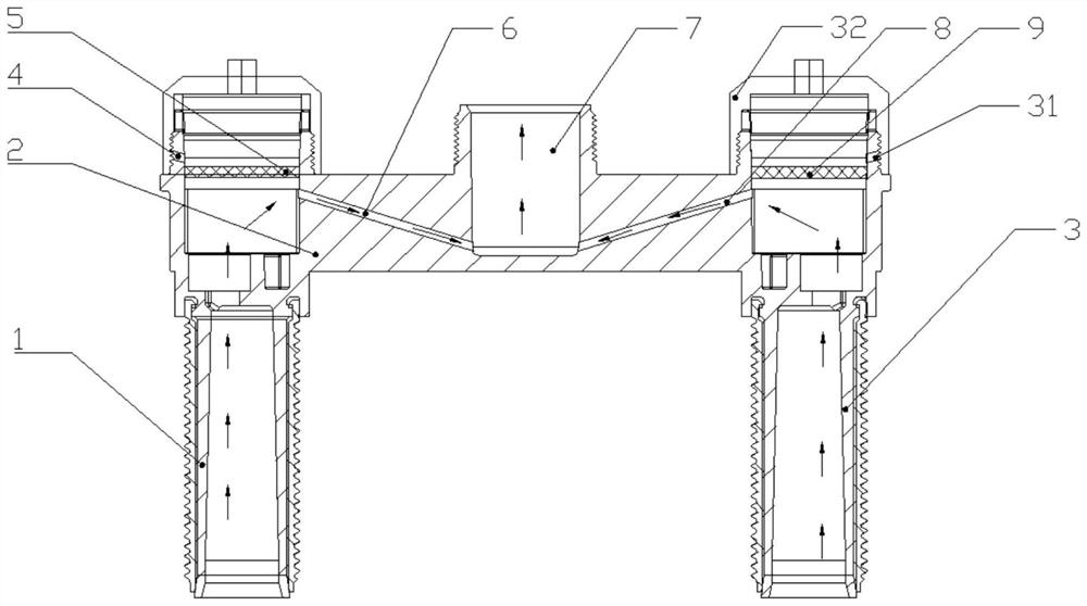 Faucet body and manufacturing mold thereof