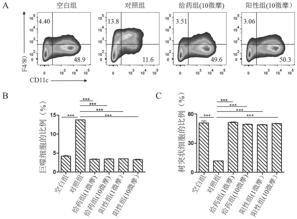 Application of small molecular compound YJ-5-41 to preparation of anti-gastric cancer drugs