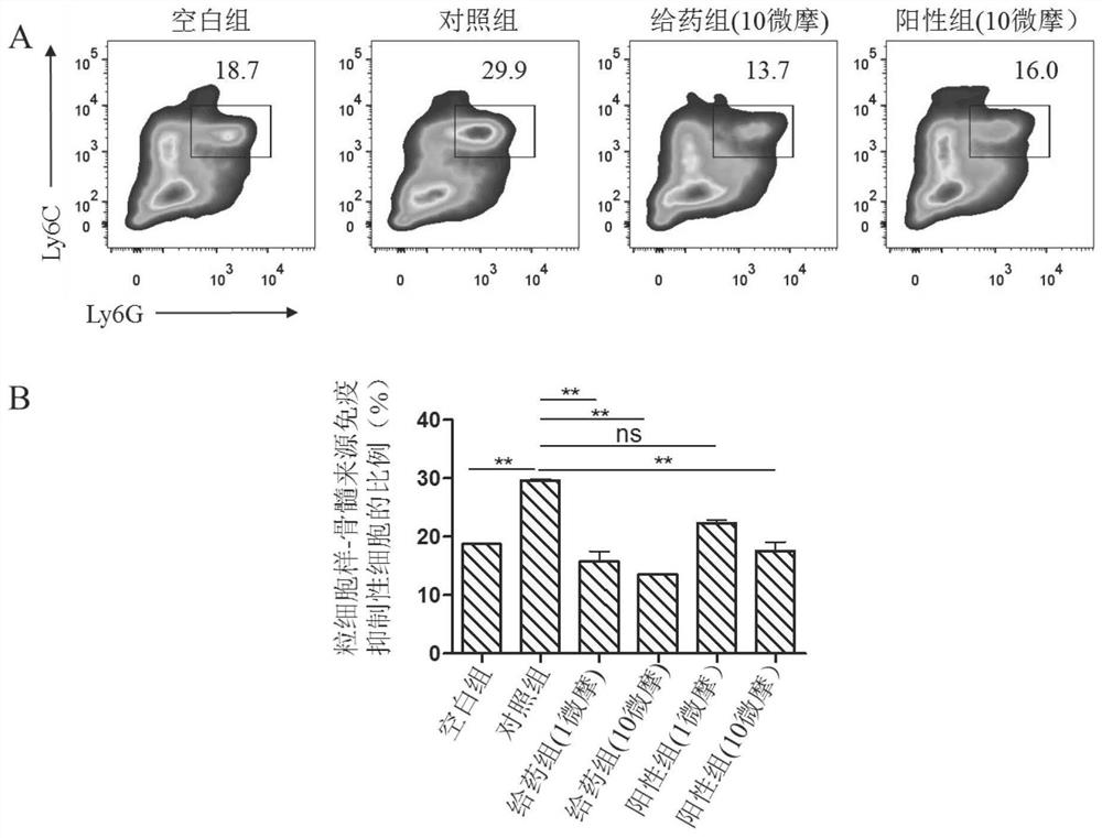 Application of small molecular compound YJ-5-41 to preparation of anti-gastric cancer drugs