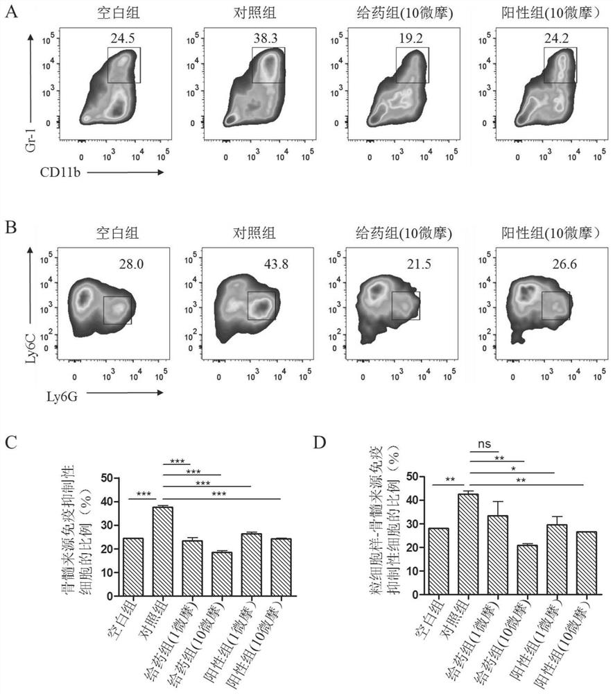 Application of small molecular compound YJ-5-41 to preparation of anti-gastric cancer drugs