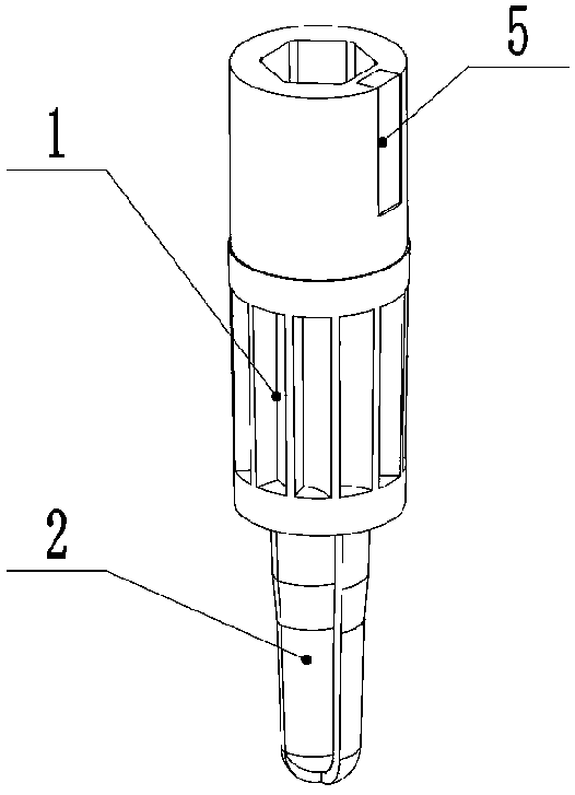 Detection device and method for rotation speed of drill bit