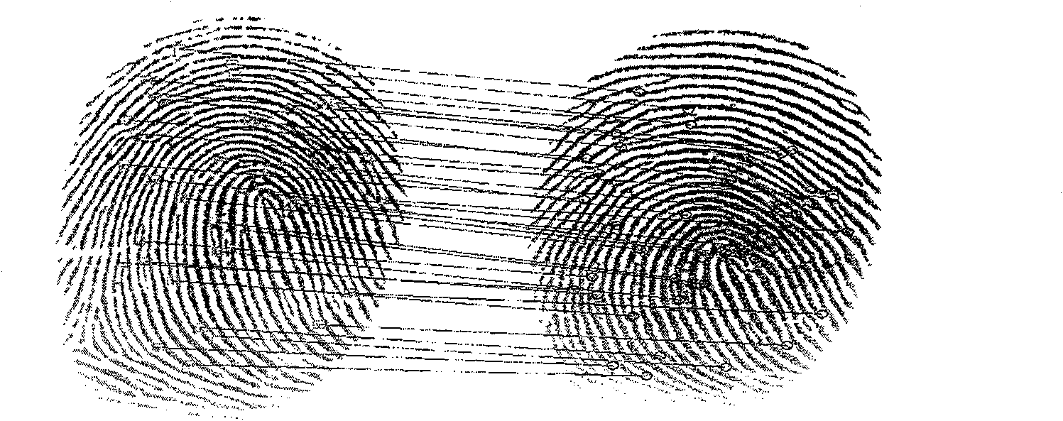 Method for detecting living body fingerprint based on thin plate spline deformation model