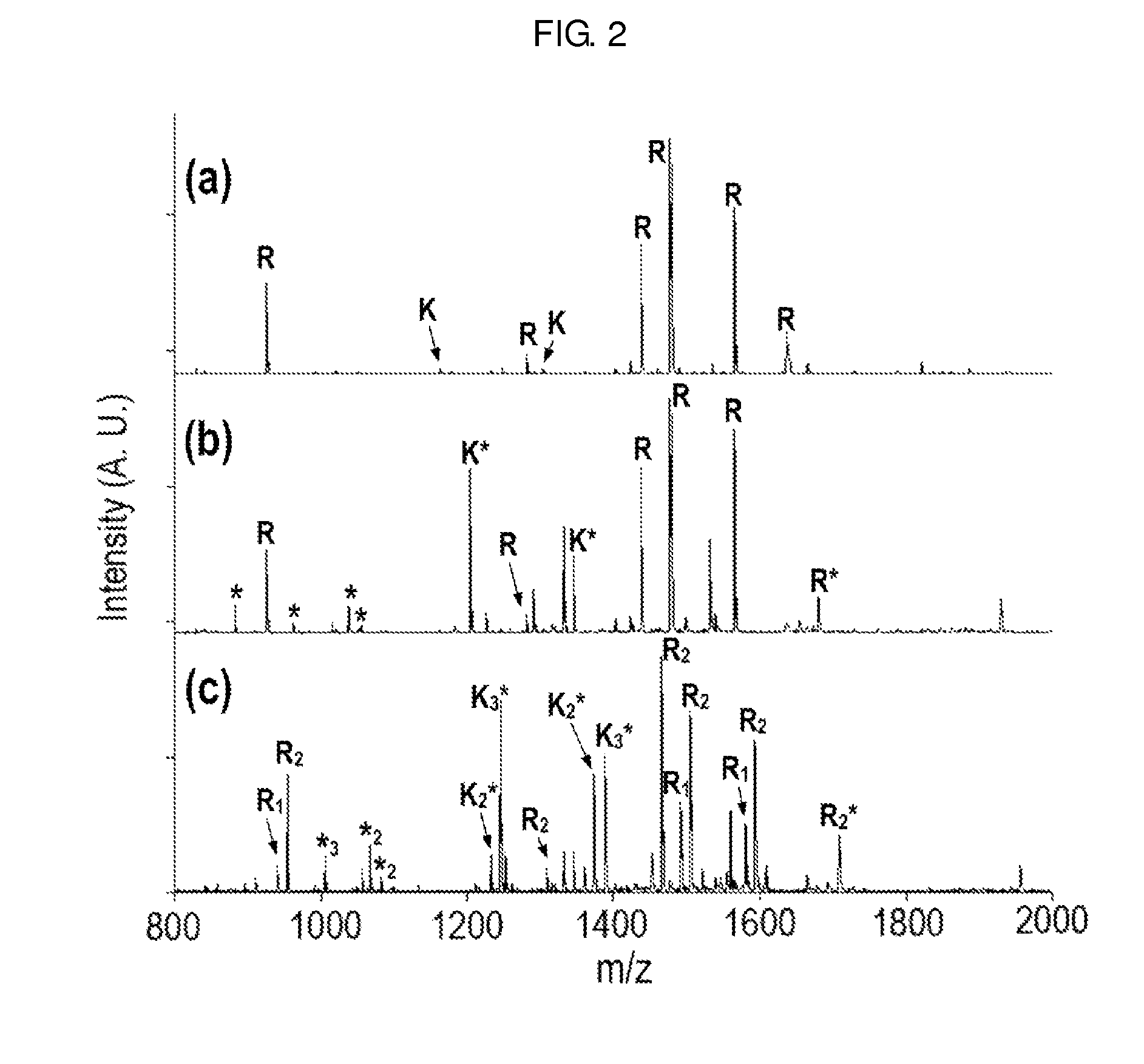 Method of de novo sequencing of peptide using the MALDI mass spectrometry, method and apparatus for preparing sample for MALDI mass spectrometry