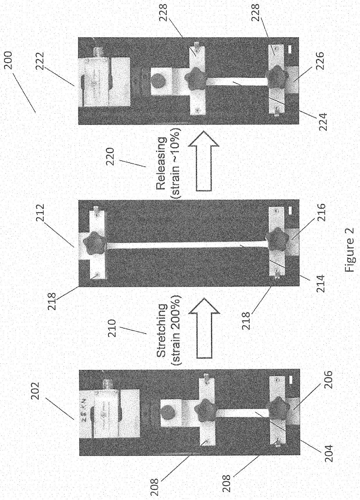 Systems and method for four-dimensional printing of elastomer-derived ceramic structures by compressive buckling-induced method