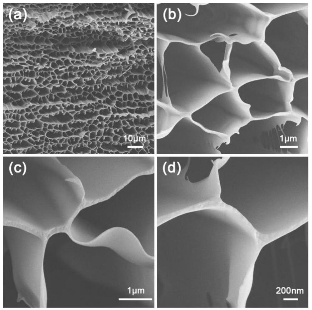 A kind of hydrophilic chitosan monolithic material and its preparation and application