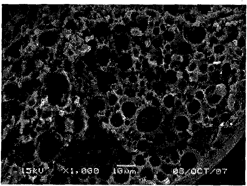 Pharmaceutical composition containing micronized human vascular endostatin