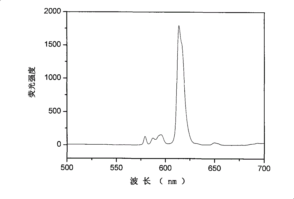 Fluorescent nanoparticle and preparation method and application thereof