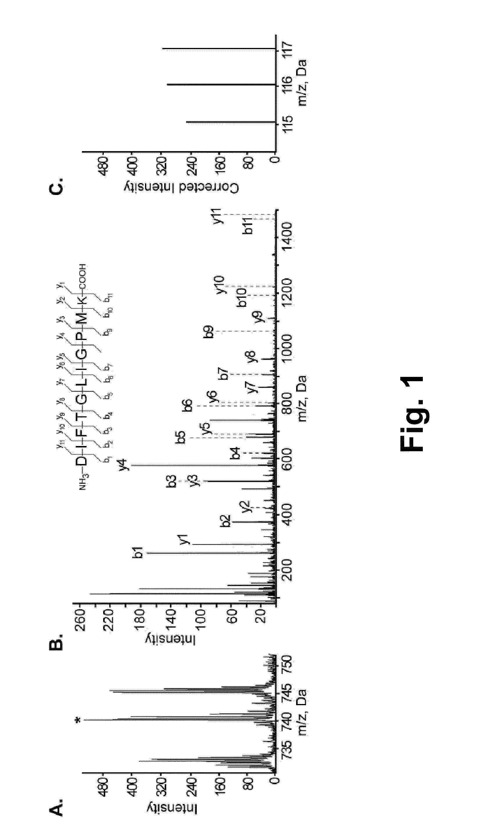Method for Identifying Mammals at Risk for Elevated intracranial Pressure