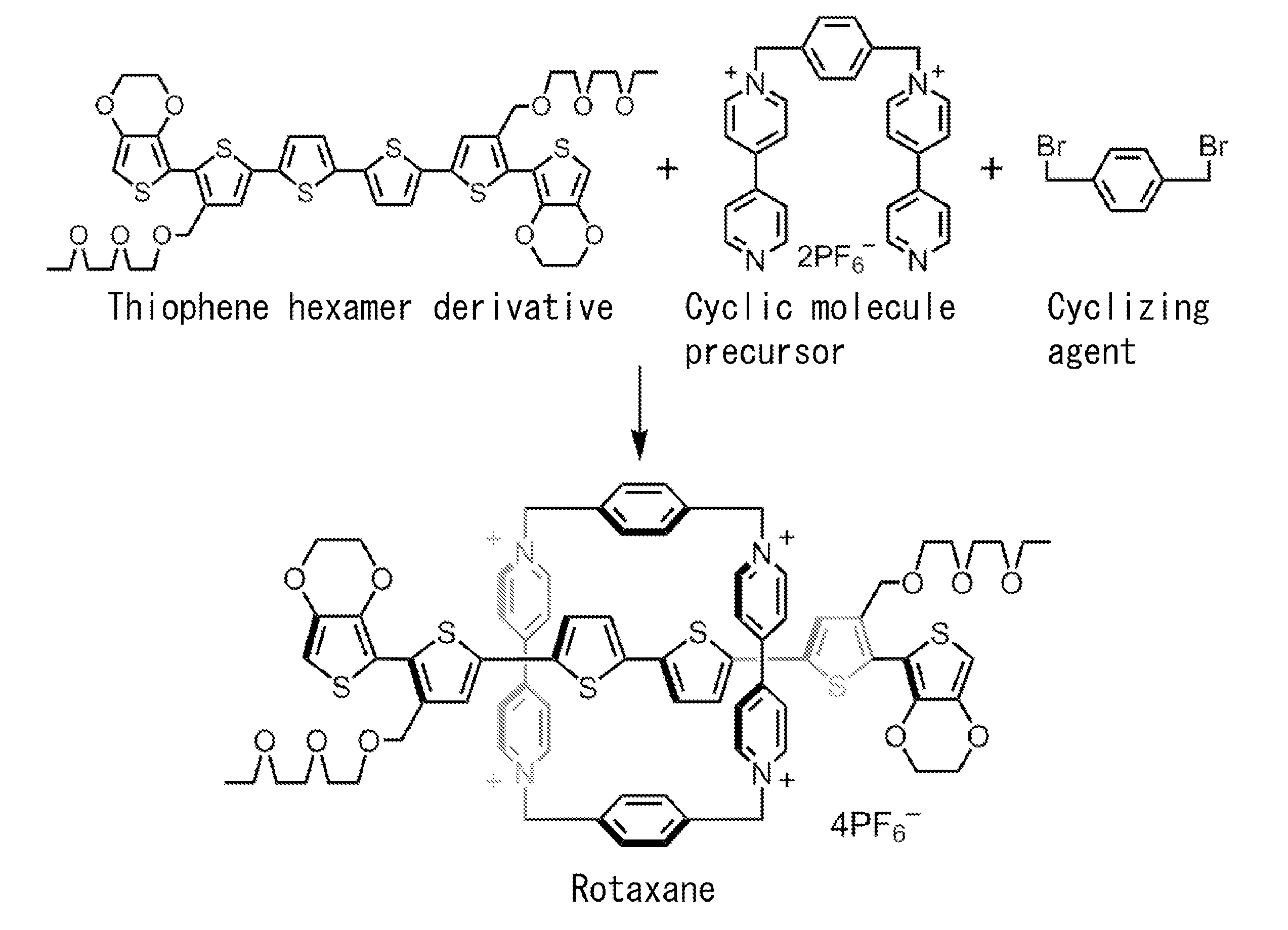 Electrically conductive polyrotaxane