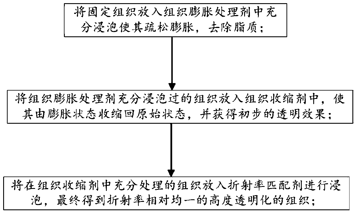 A treatment method for rapid tissue clearing based on water-soluble reagents and its application