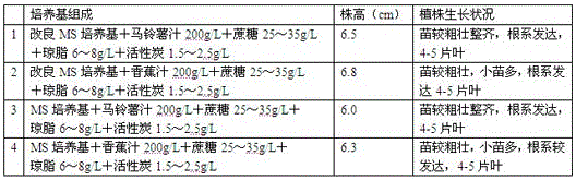 The Method of Rapid Tissue Culture Propagation of Emei Anologia Emei Seeds Without Hormone