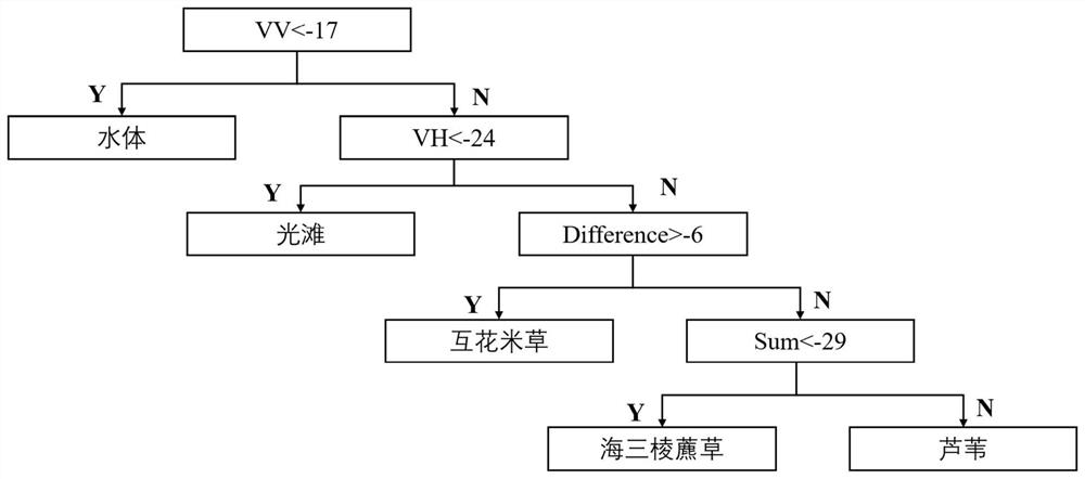 A Large-Scale Intertidal Vegetation Classification Method Based on Synthetic Aperture Radar