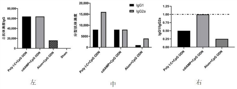 Novel nucleic acid adjuvant system for subunit vaccine and application of novel nucleic acid adjuvant system