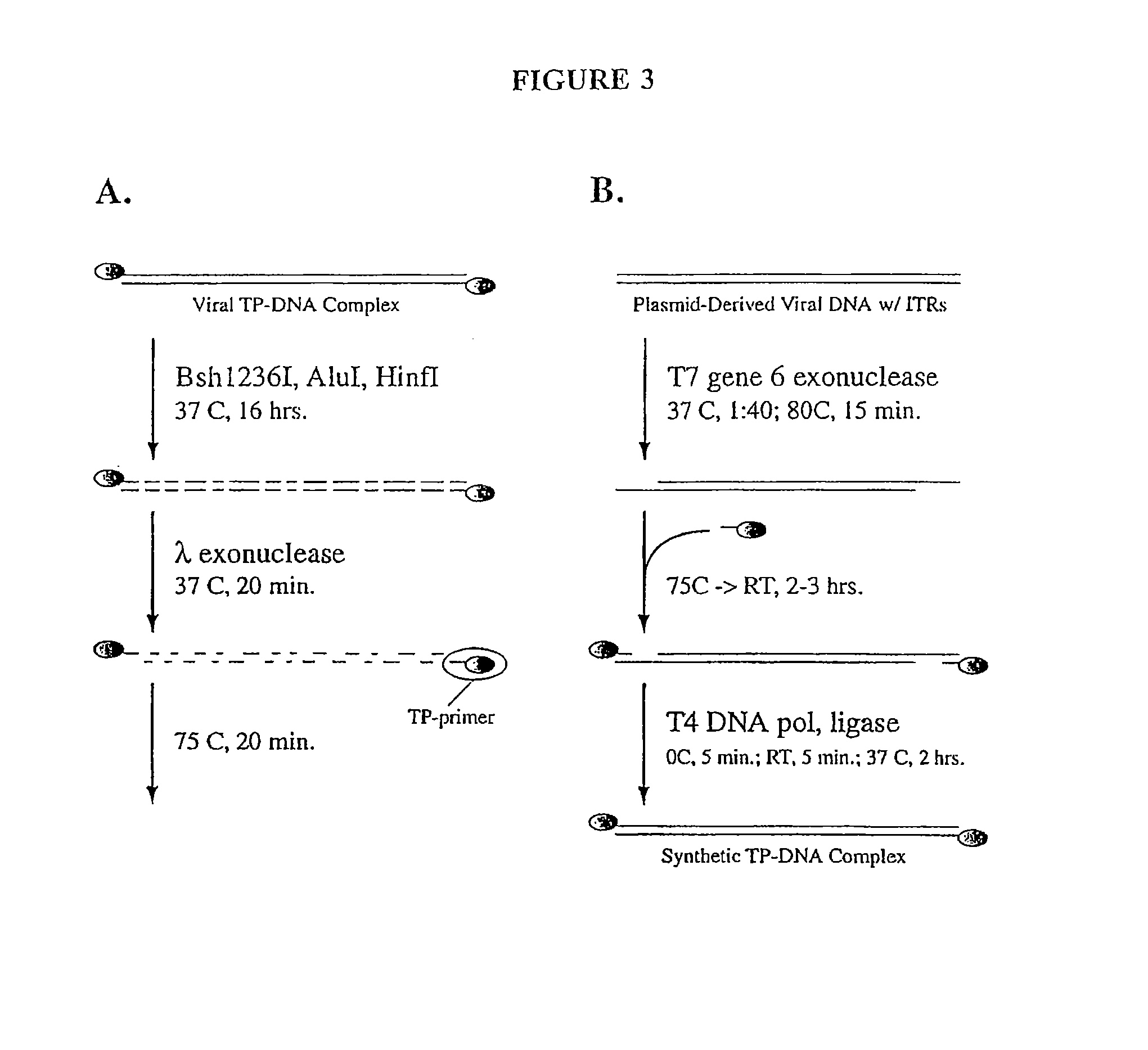 Production of viral vectors