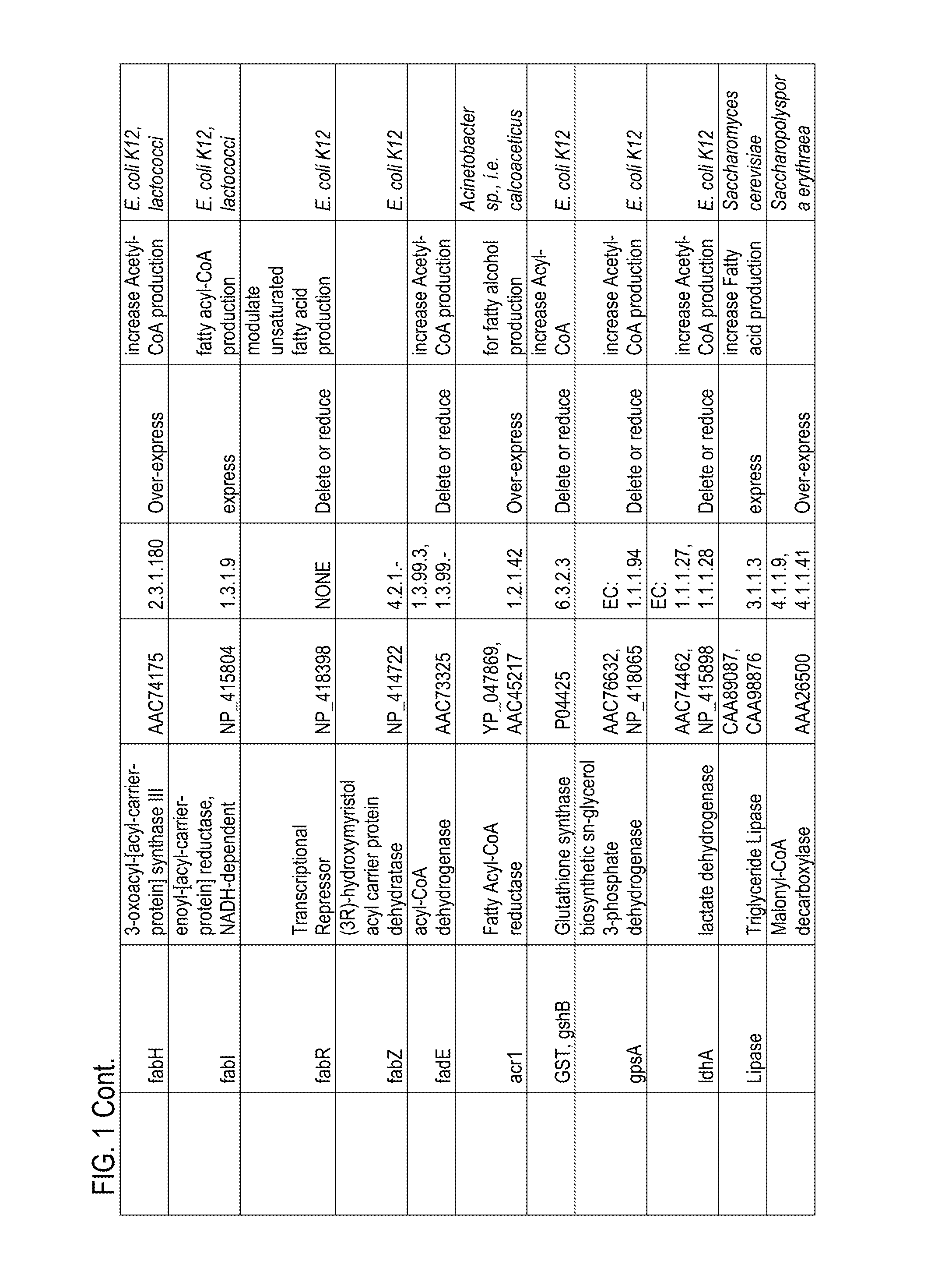 Methods and compositions related to thioesterase enzymes