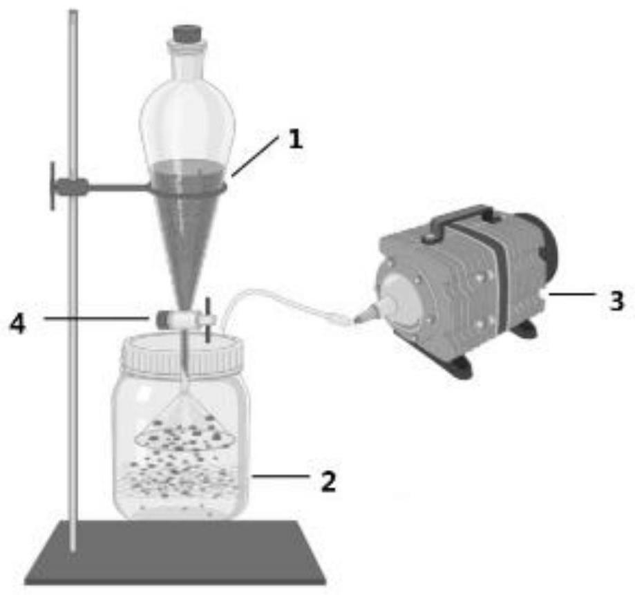 Ovarian regeneration patch and preparation method thereof based on vacuum device