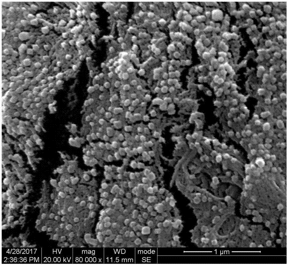 Filter material with sterilization function and preparation method of filter material