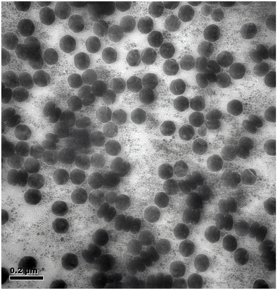 Preparation method of nano-particle material