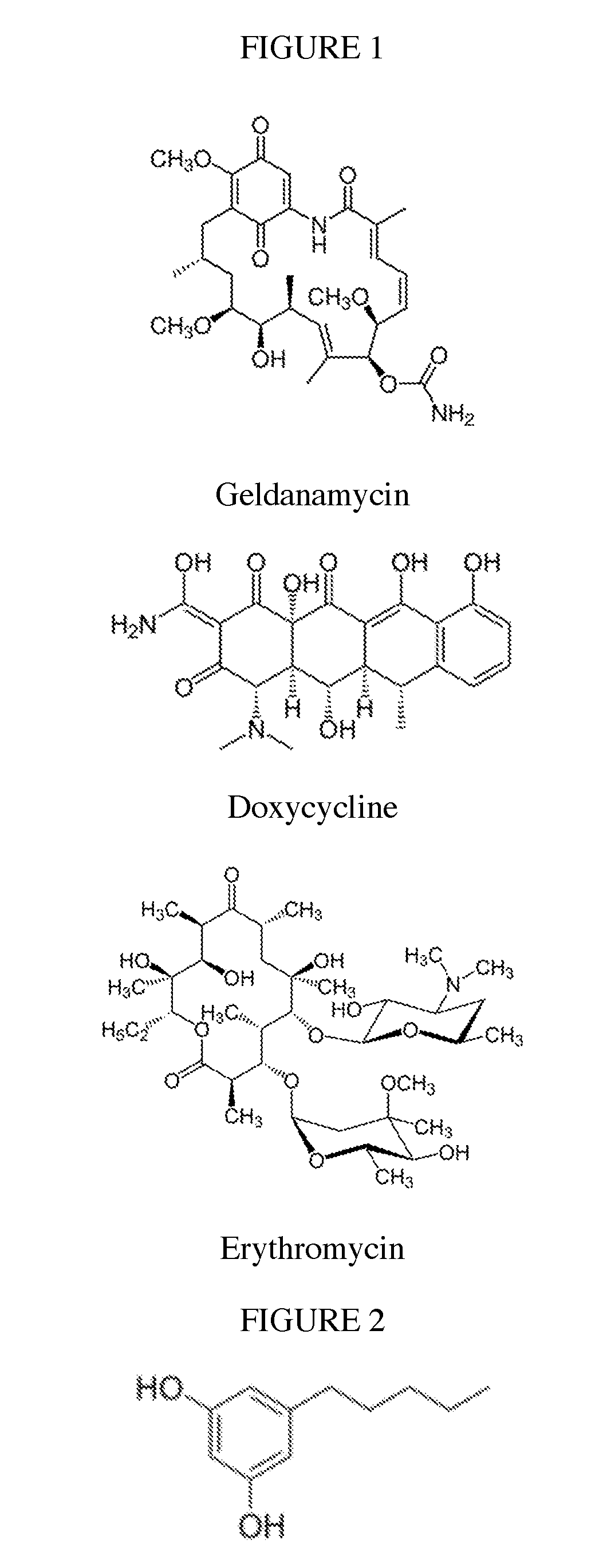 Biosynthesis of polyketides