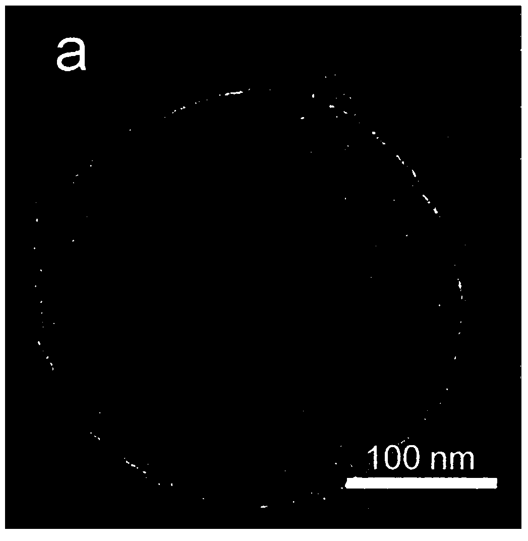 Magnetic composite microsphere loaded with precious metal quantum dots and preparation method of magnetic composite microsphere