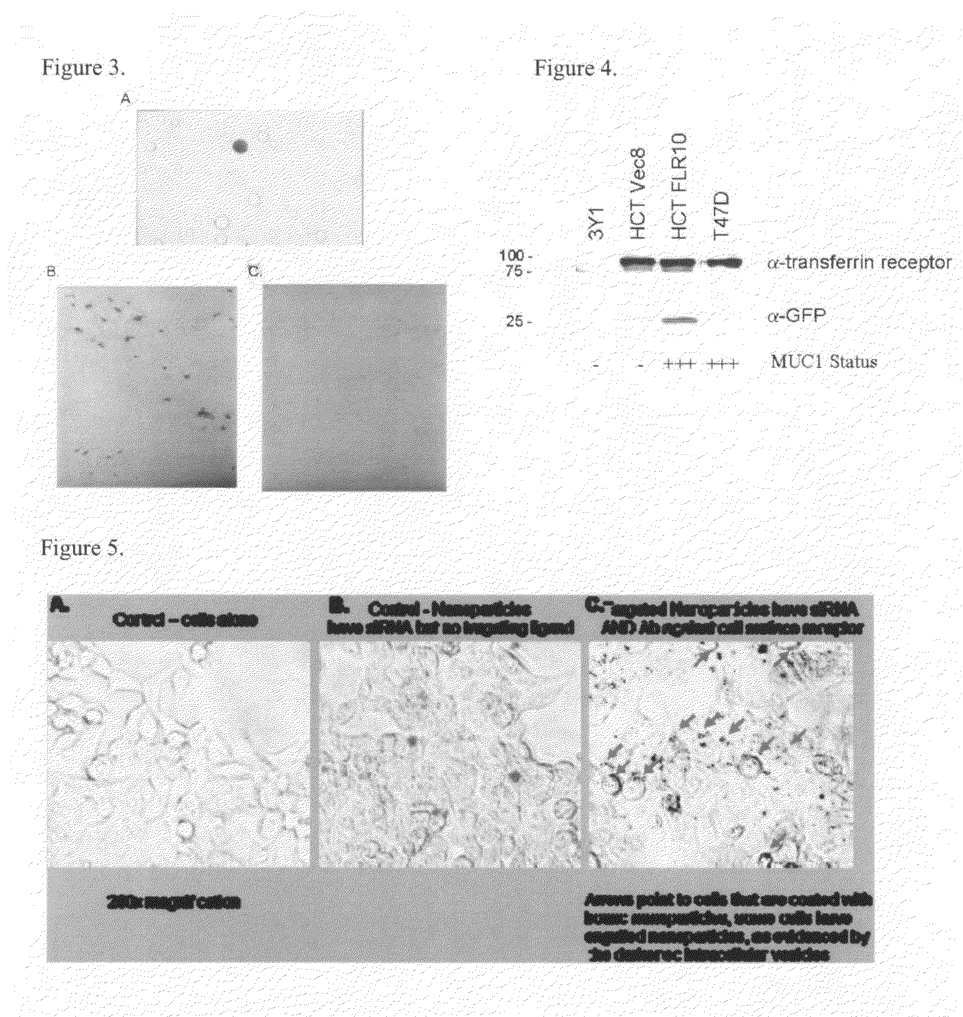 Method for treating cancer using interference RNA