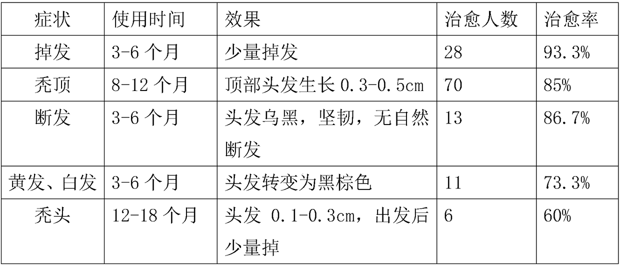 Traditional Chinese medicine composition for growing and blackening hair