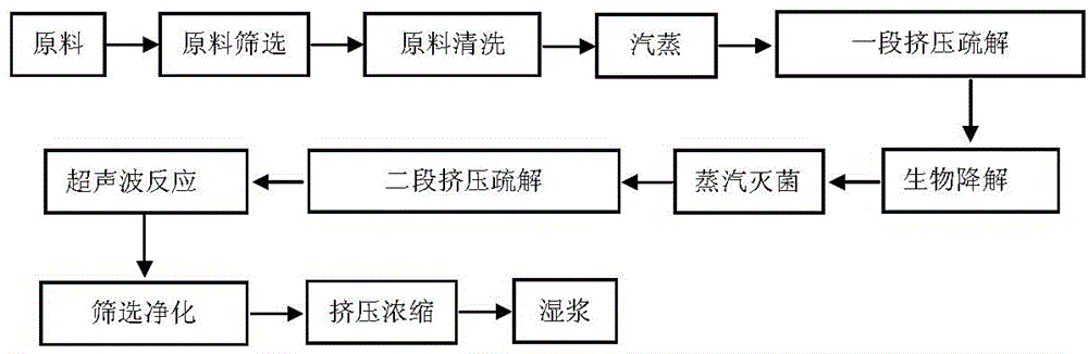 Biological ultrasonic pulping method for high-strength mechanical pulp