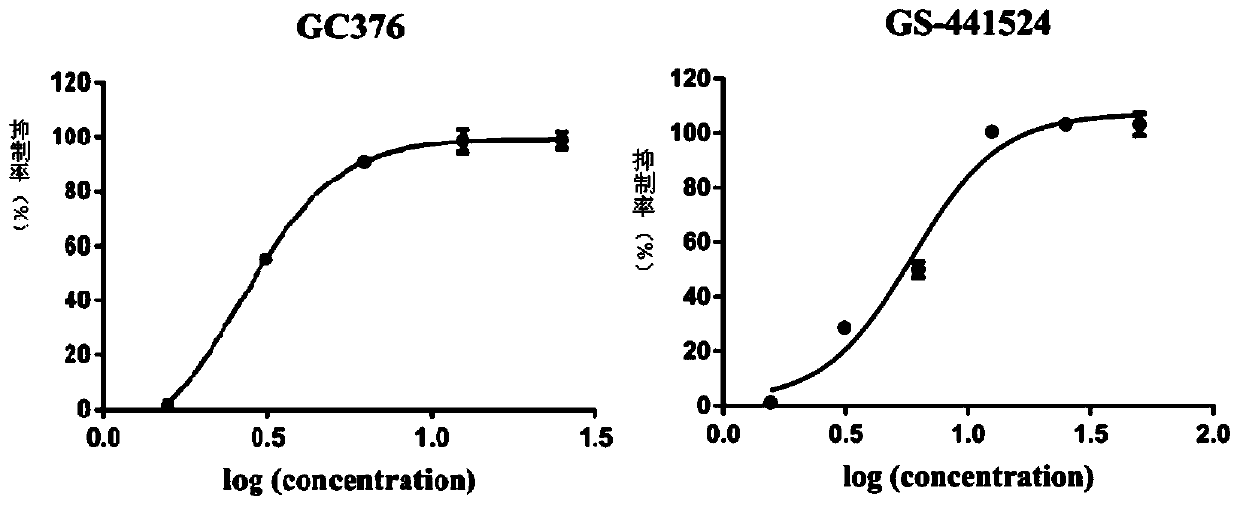 Feline infectious peritonitis virus inhibitor composition composed of GC376 and GS-441524