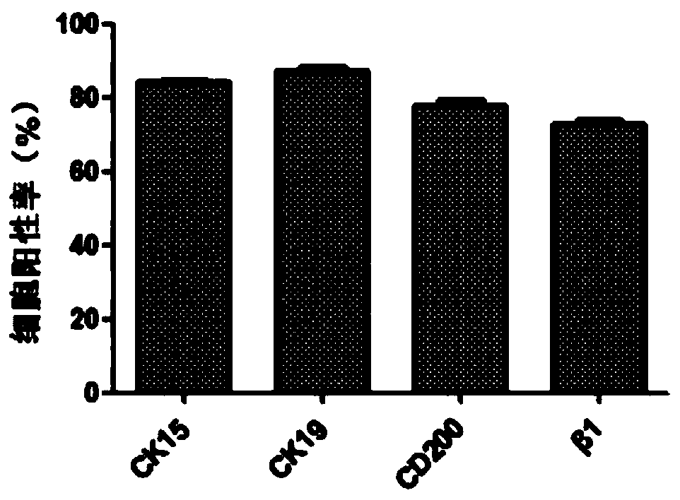 A kind of preparation method of hair follicle stem cells