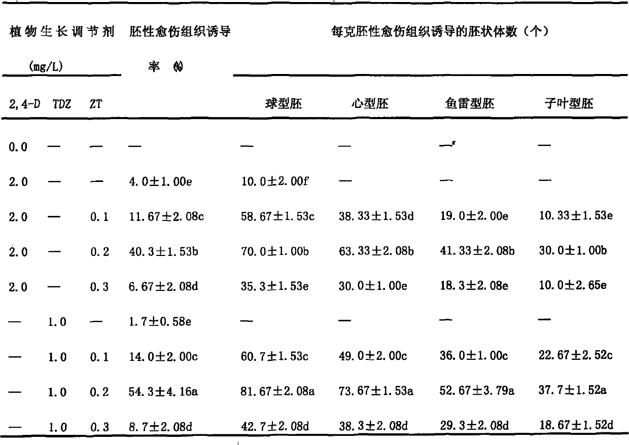 Method for somatic cell embryogeny and plant regeneration of medicinal plant schisandga chinensis baill