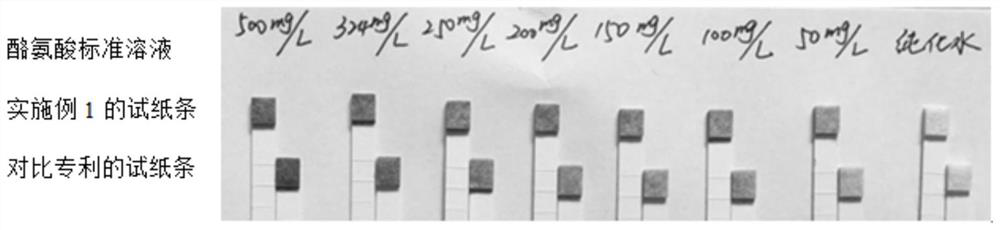 Tyrosine detection test strip as well as preparation method and application thereof