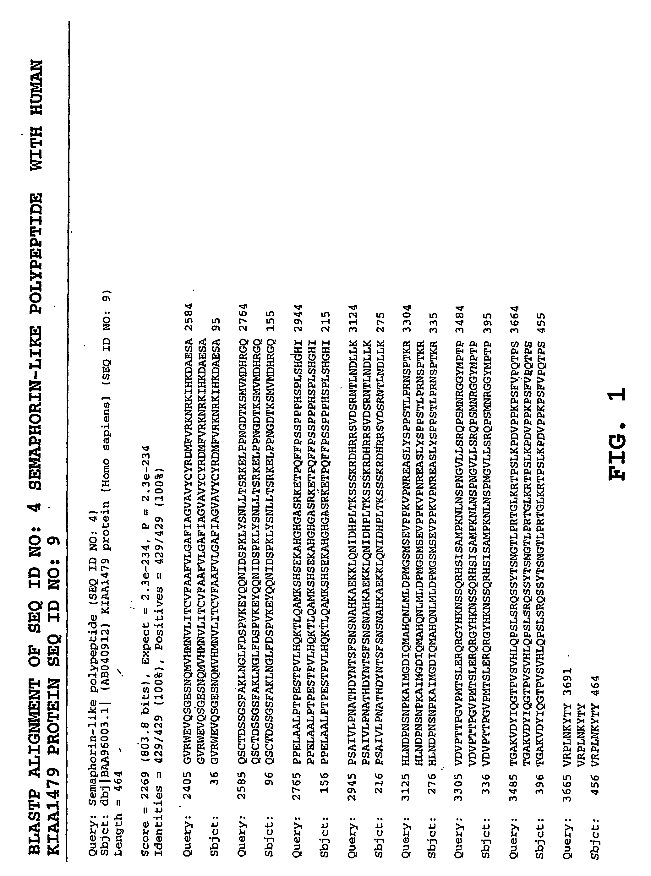 Methods and materials relating to semaphorin-like polypeptides and polynucleotides