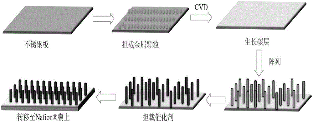Ordered catalyst layer and preparation and application thereof