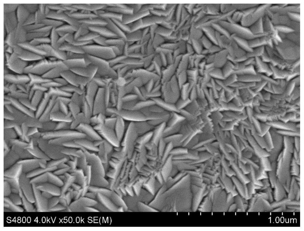 TiAlMoNbW high-entropy alloy nitride film and preparation process thereof