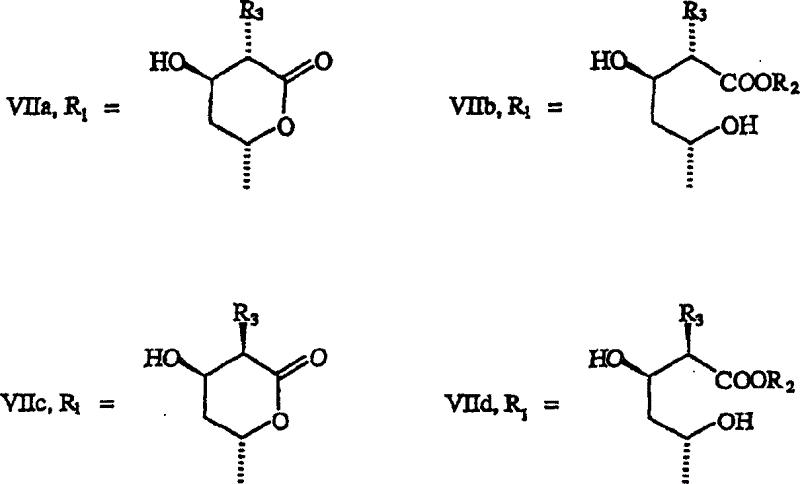Methyl analogs of simvastatin as novel HMG-CoA reductase inhibitors