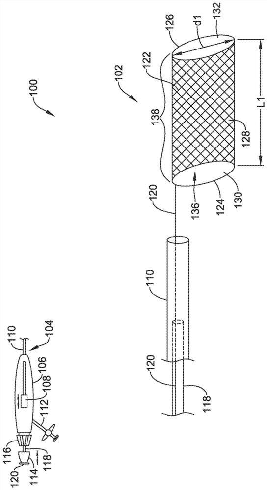 Systems for protecting the cerebral vasculature