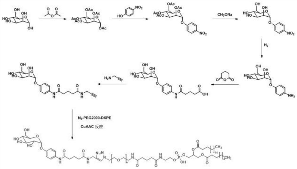 A brain-targeted nanoliposome loaded with positively charged polymer/mir-195 complex and its preparation method and application
