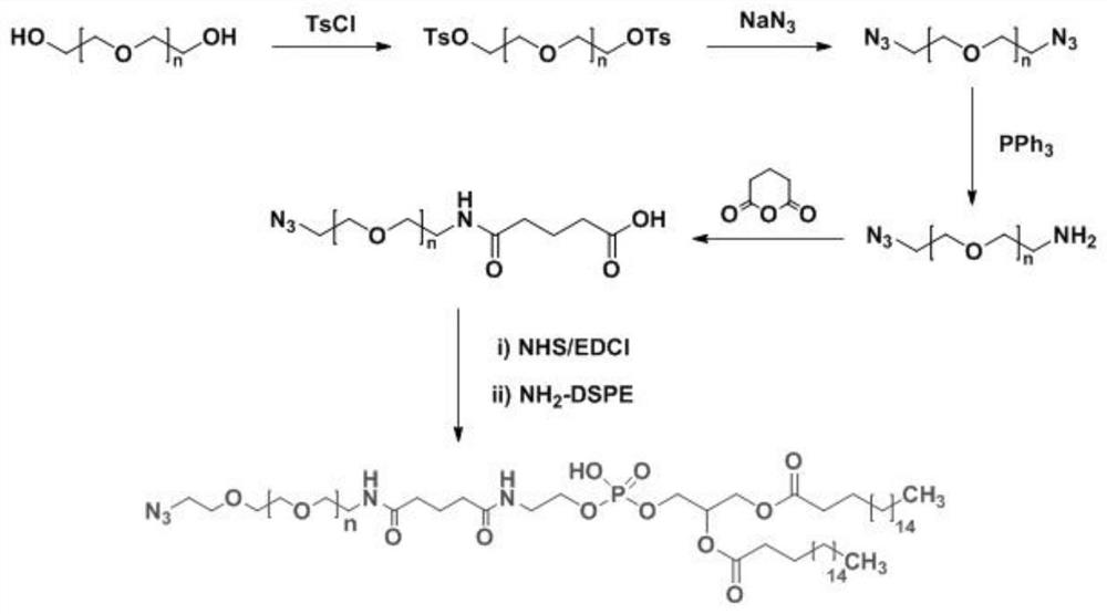 A brain-targeted nanoliposome loaded with positively charged polymer/mir-195 complex and its preparation method and application