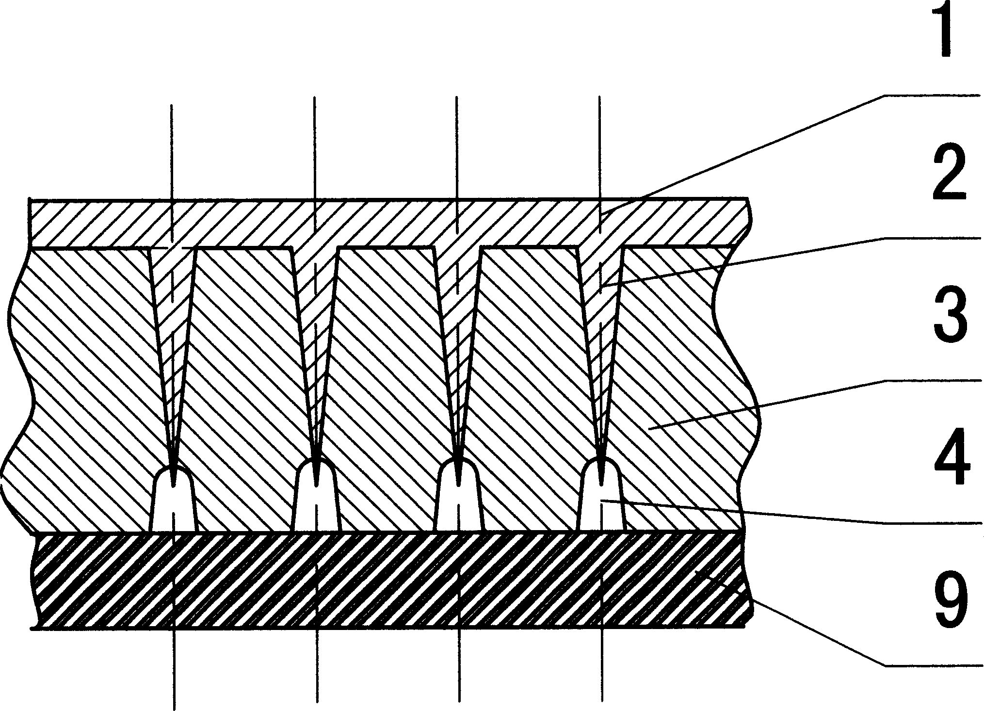 Mfg. field emitting vacuum microelectronic element by utilizing nulear track tech and display thereof