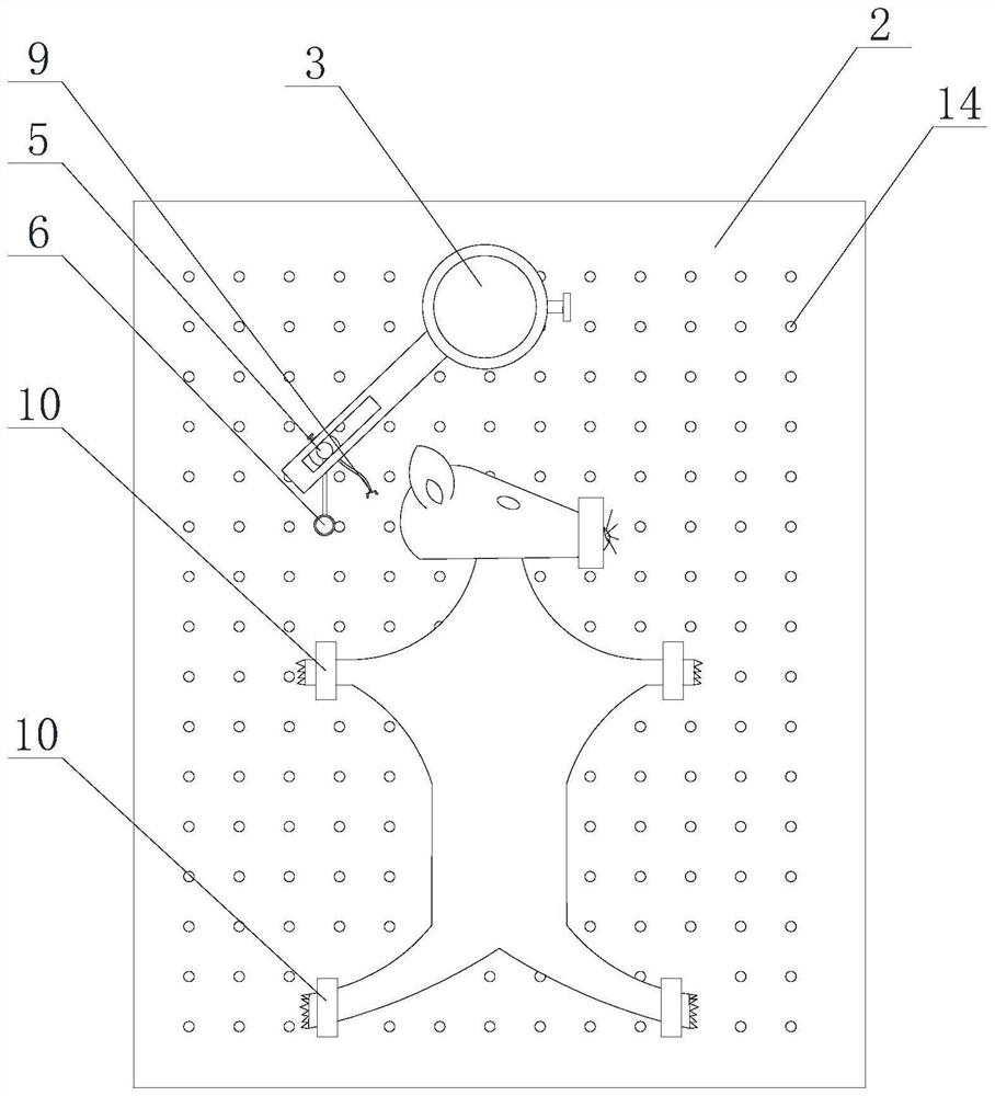 Temporomandibular joint positioning device for laboratory mouse