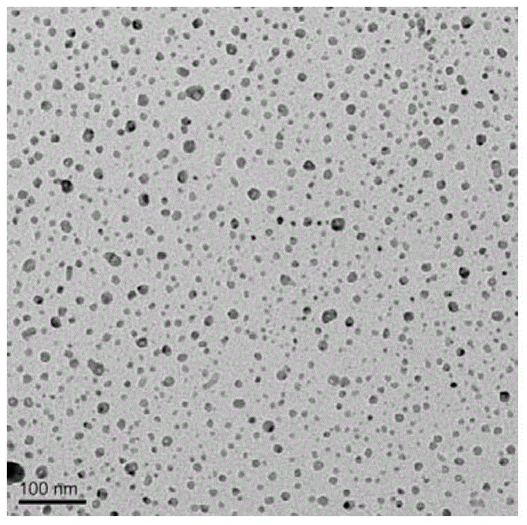 Method for growing nanometer particles on substrate