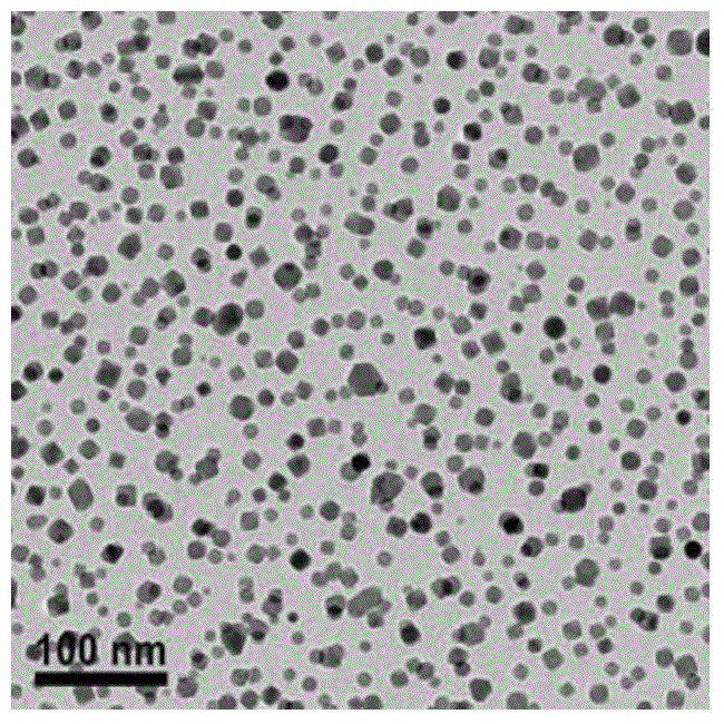 Method for growing nanometer particles on substrate