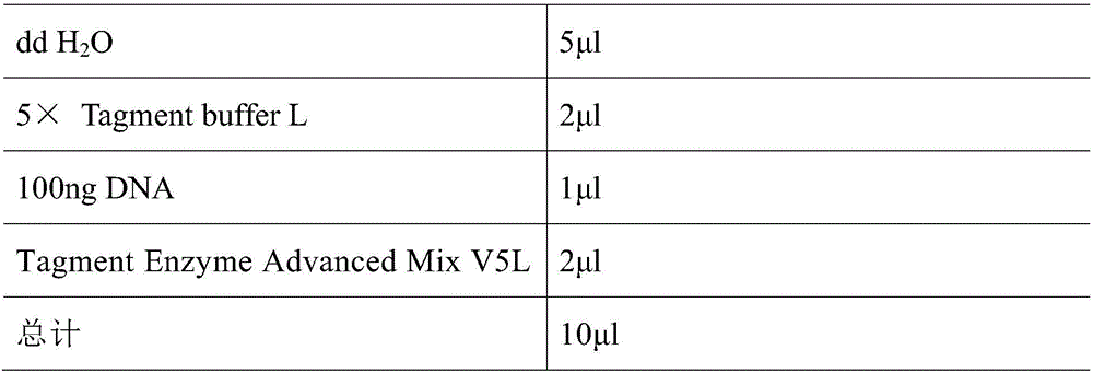 Method, composition and kit for performing in-vitro nucleic acid unidirectional amplification by utilizing transposon enzyme