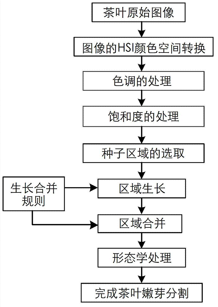 Tea image enhancement and division method based on color characteristic
