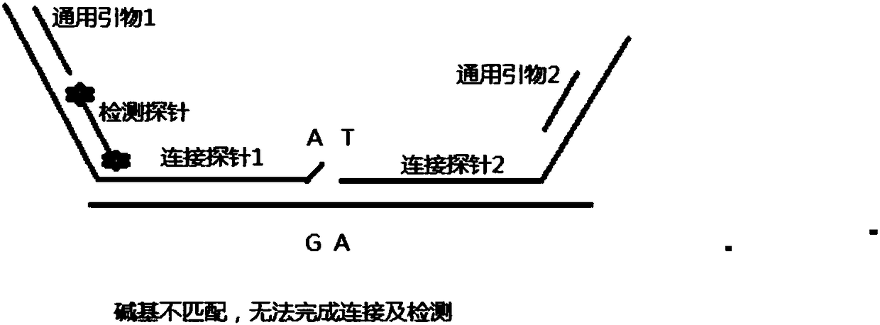 Human HLA-B*5801 genotype kit and method