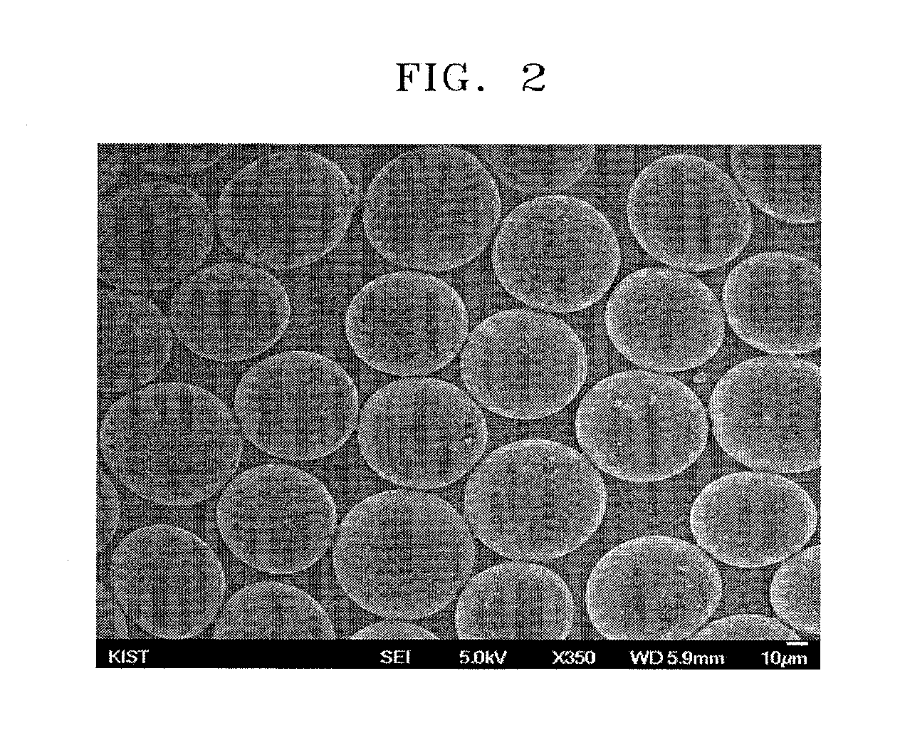 Color conversion luminescent sheet and fabrication method for the same
